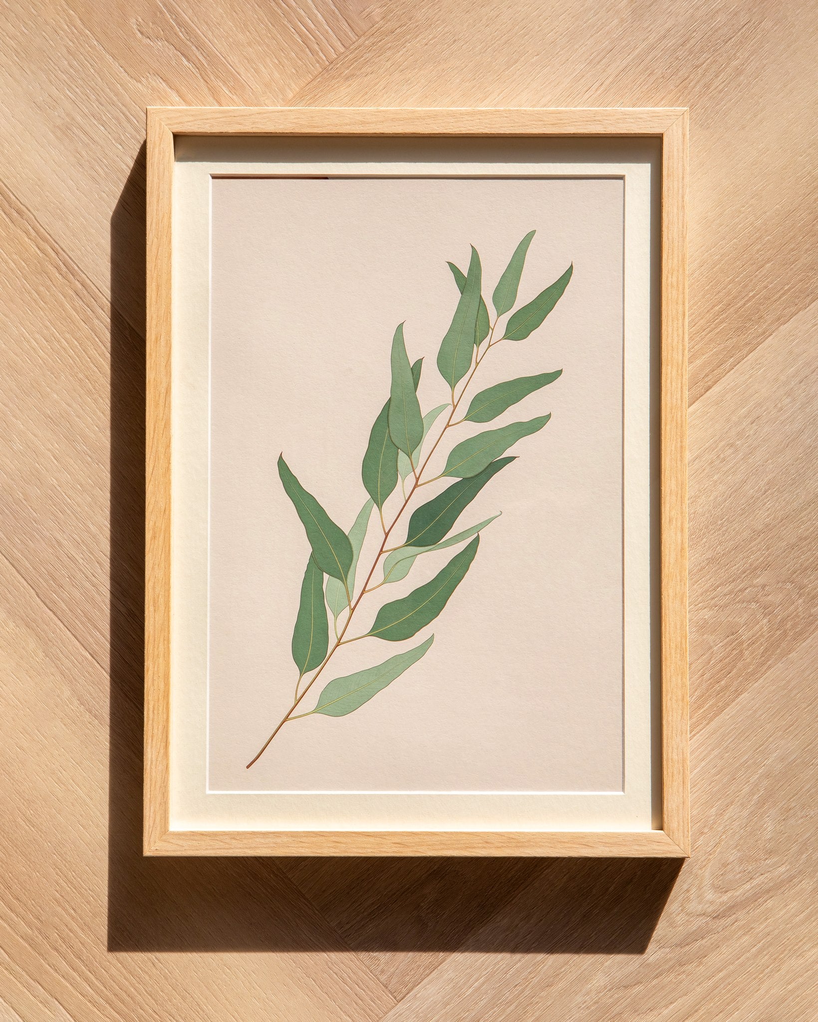 Eucalyptus Cascade